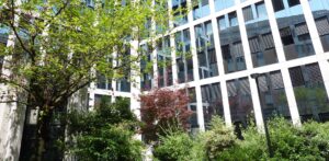 IFM Business School
